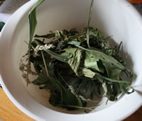 Dried herbs, to make home made incense