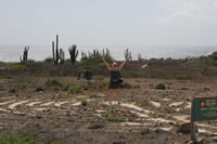 In the heart of the Aruba Peace Labyrinth